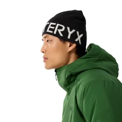 Arc'teryx Word Head Toque, hue (Orca) Dame Huer|Huer