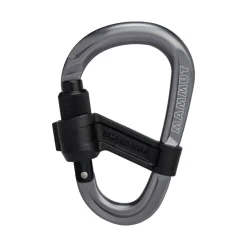 Best Smart HMS 2.0 skruekarabin Karabiner